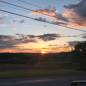 Meet your Posher, Amelia